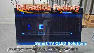 SMART TV   OLED TV    OEM/SKD  Factory
